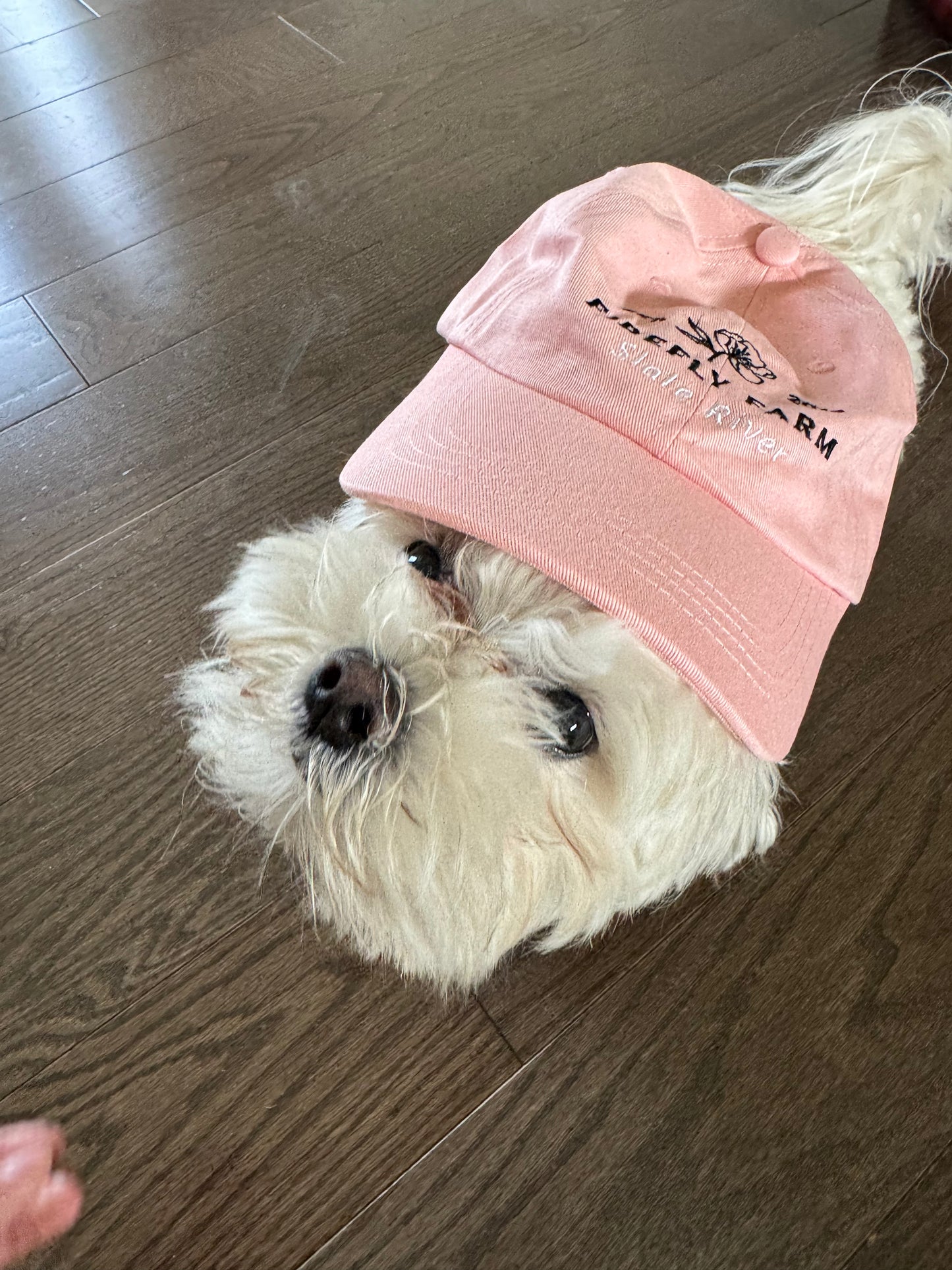 Firefly Hats