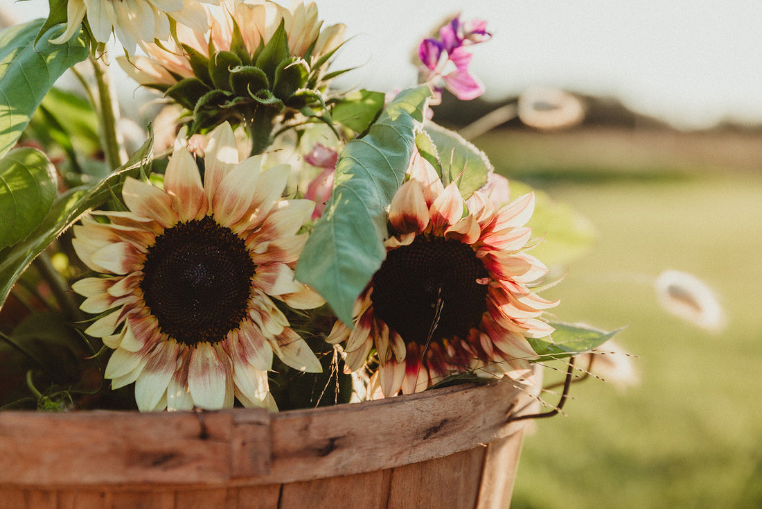 Bringing the Beauty of Seasonal Flowers into Your Home