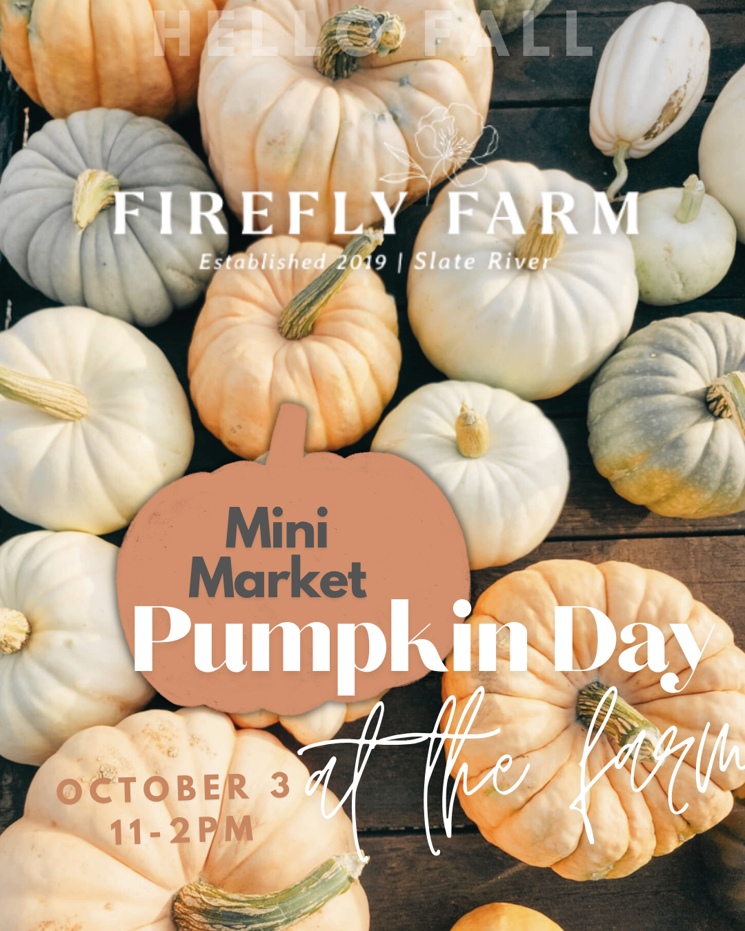 3rd Annual Pumpkin Day Mini Market - October 3rd