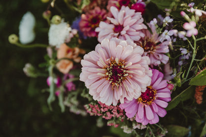 MINI FLOWER SUBSCRIPTION — 2026 Season (3 Bouquets)