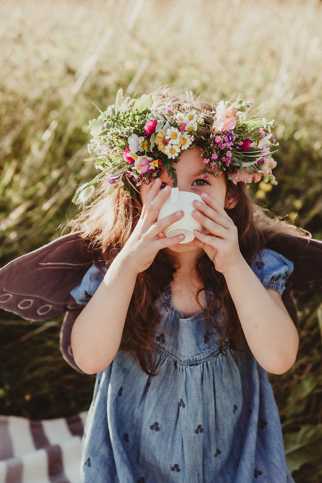 Firefly Gallery – fireflyfarmnorth