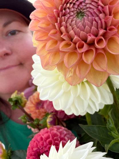 Firefly Dahlia Tuber Collection