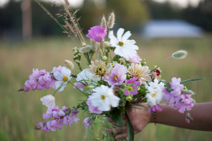 MINI FLOWER SUBSCRIPTION — 2026 Season (3 Bouquets)